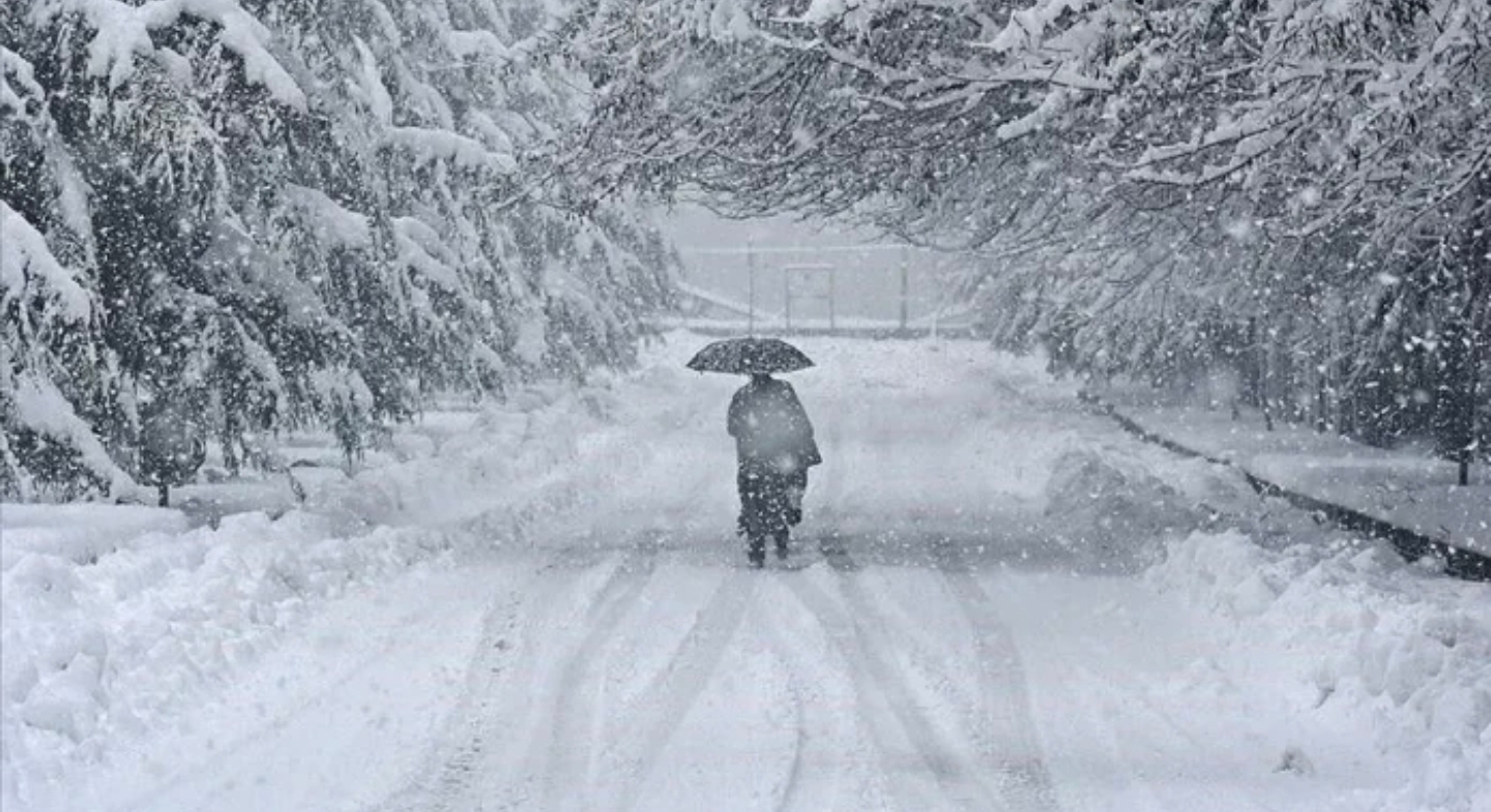 Evropa përvëlohet nga temperaturat e larta  Zelanda e Re goditet nga i ftohti polar