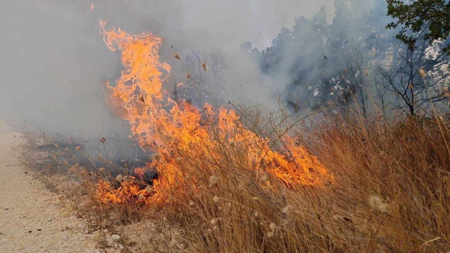 Gjashtë zjarre aktive në RMV  zjarrfikësit dhe banorët e Zelenikovës shpëtuan shtëpitë gjatë natës